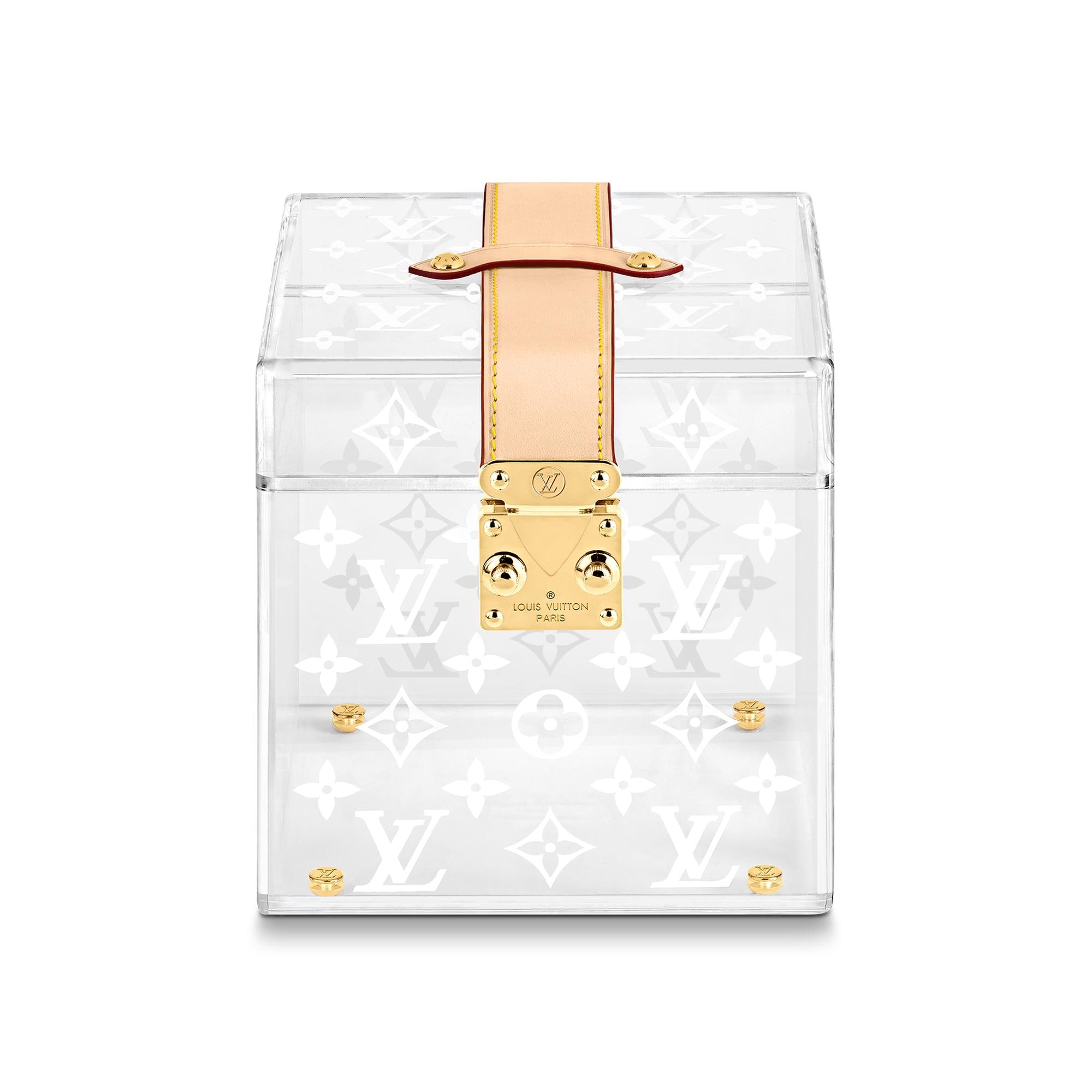 Louis Vuitton Monogram Boite Scott Accessory Case Clear Gi0840 Lv